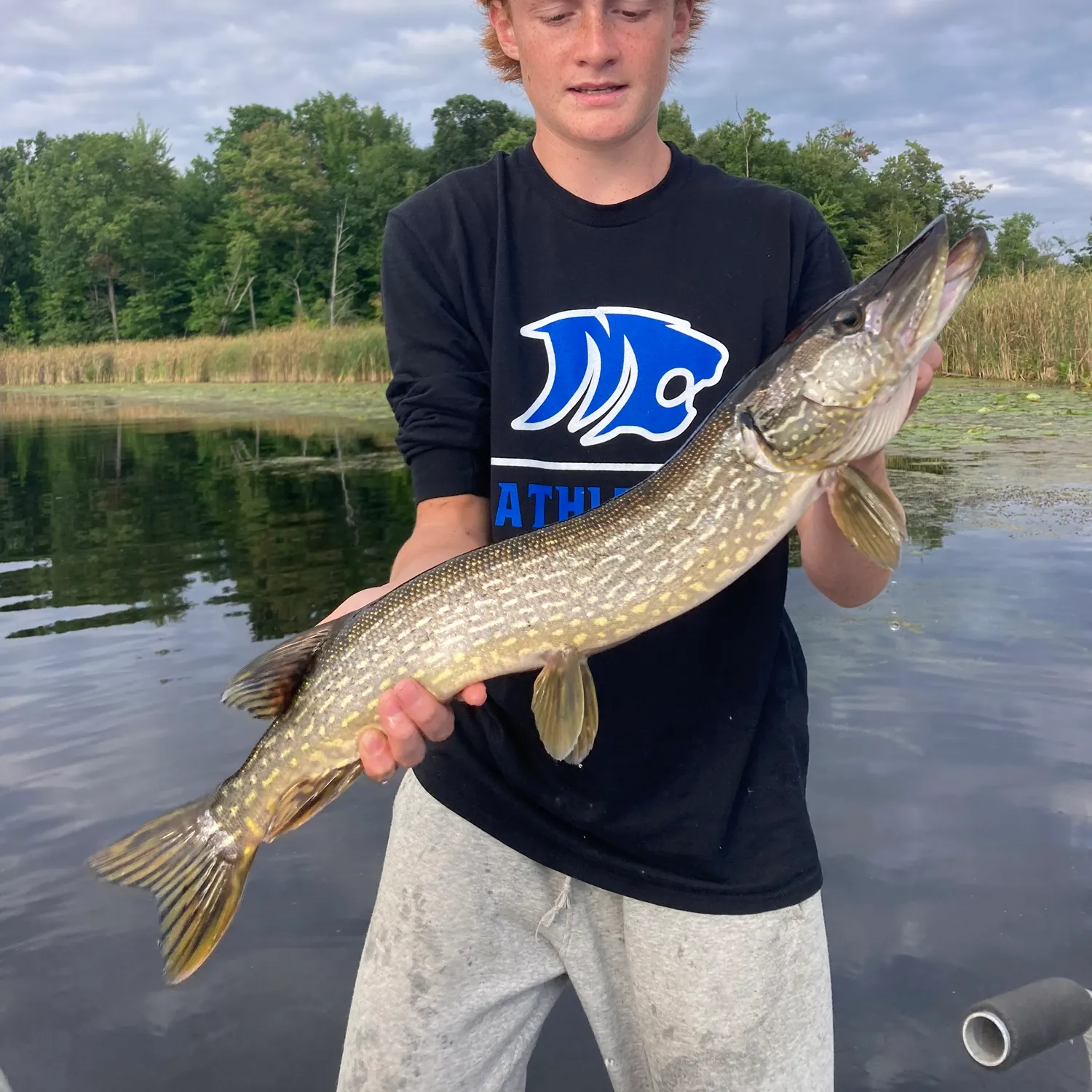 Northern pike caught on Fishbrain