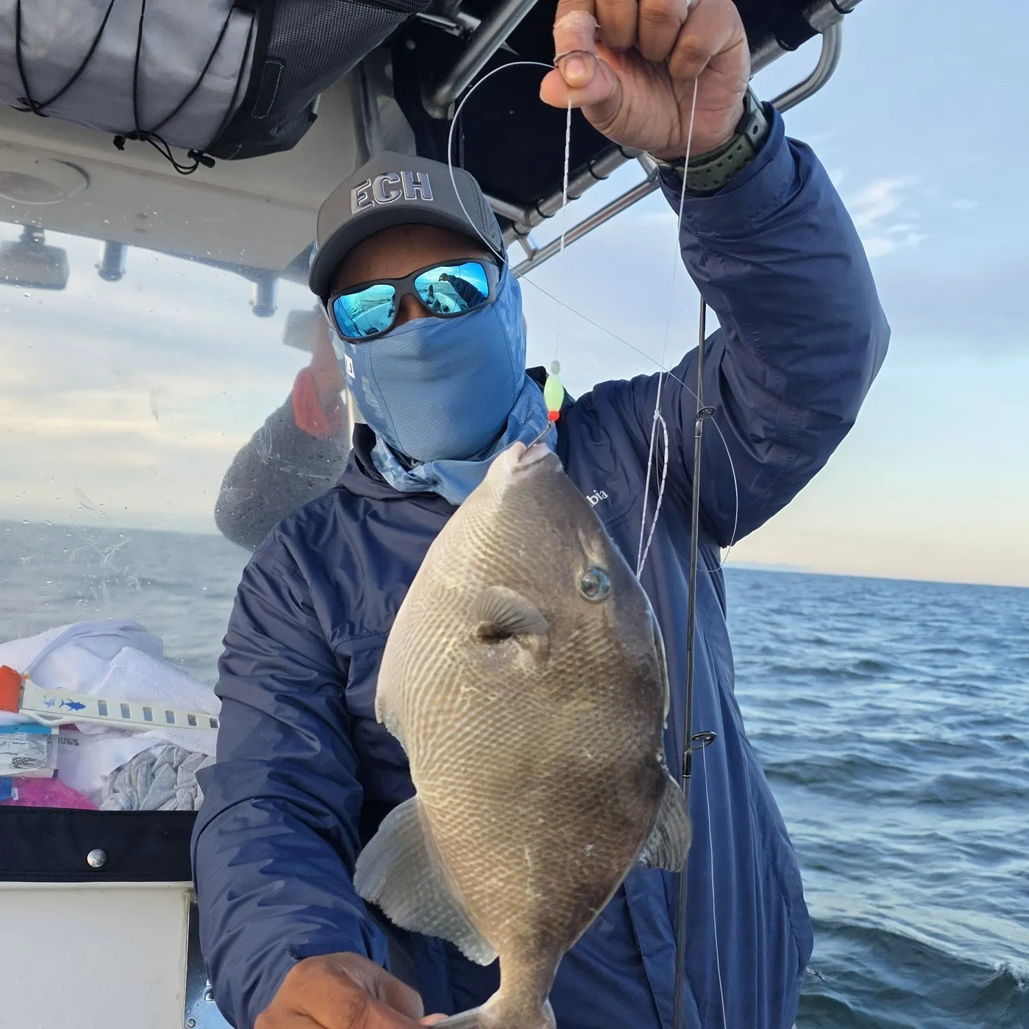 The most recent Grey triggerfish catches on Fishbrain