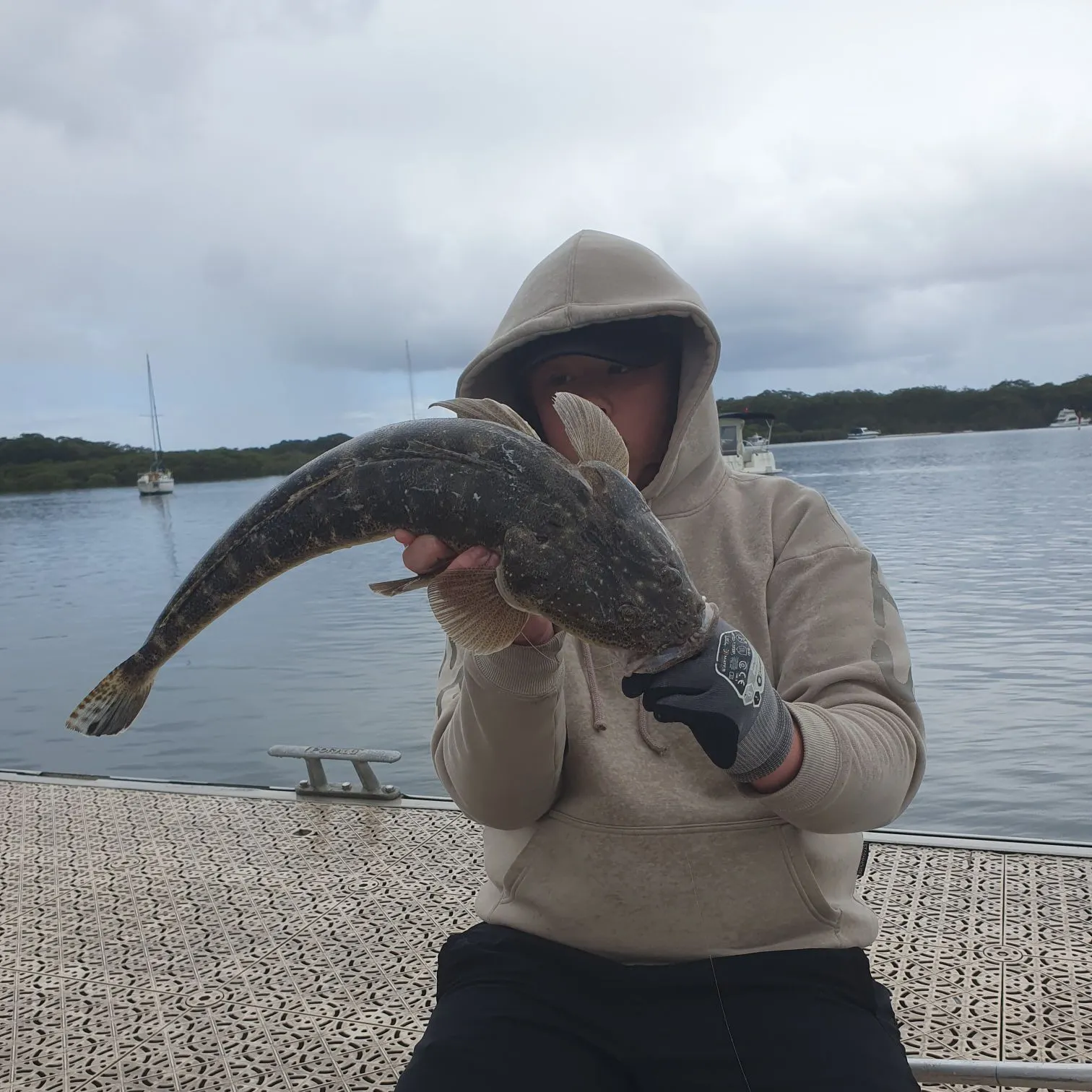 Dusky flathead caught on Fishbrain