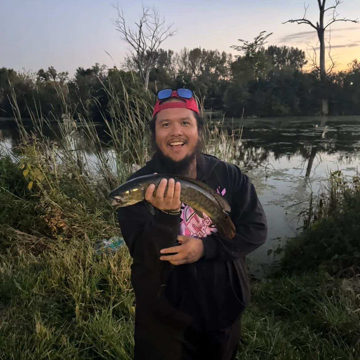Eyetail bowfin caught on Fishbrain