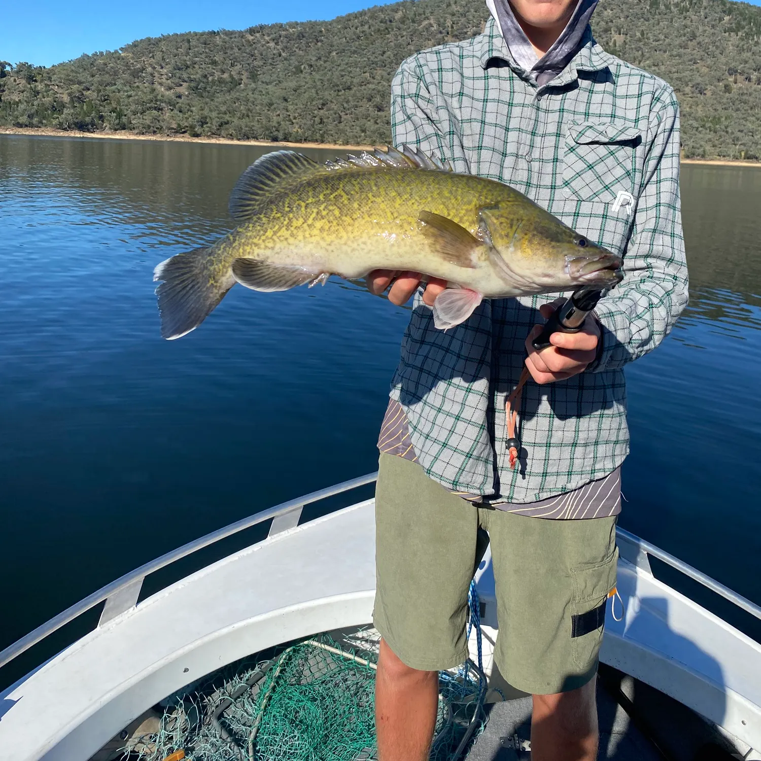 The most recent Murray cod catches on Fishbrain