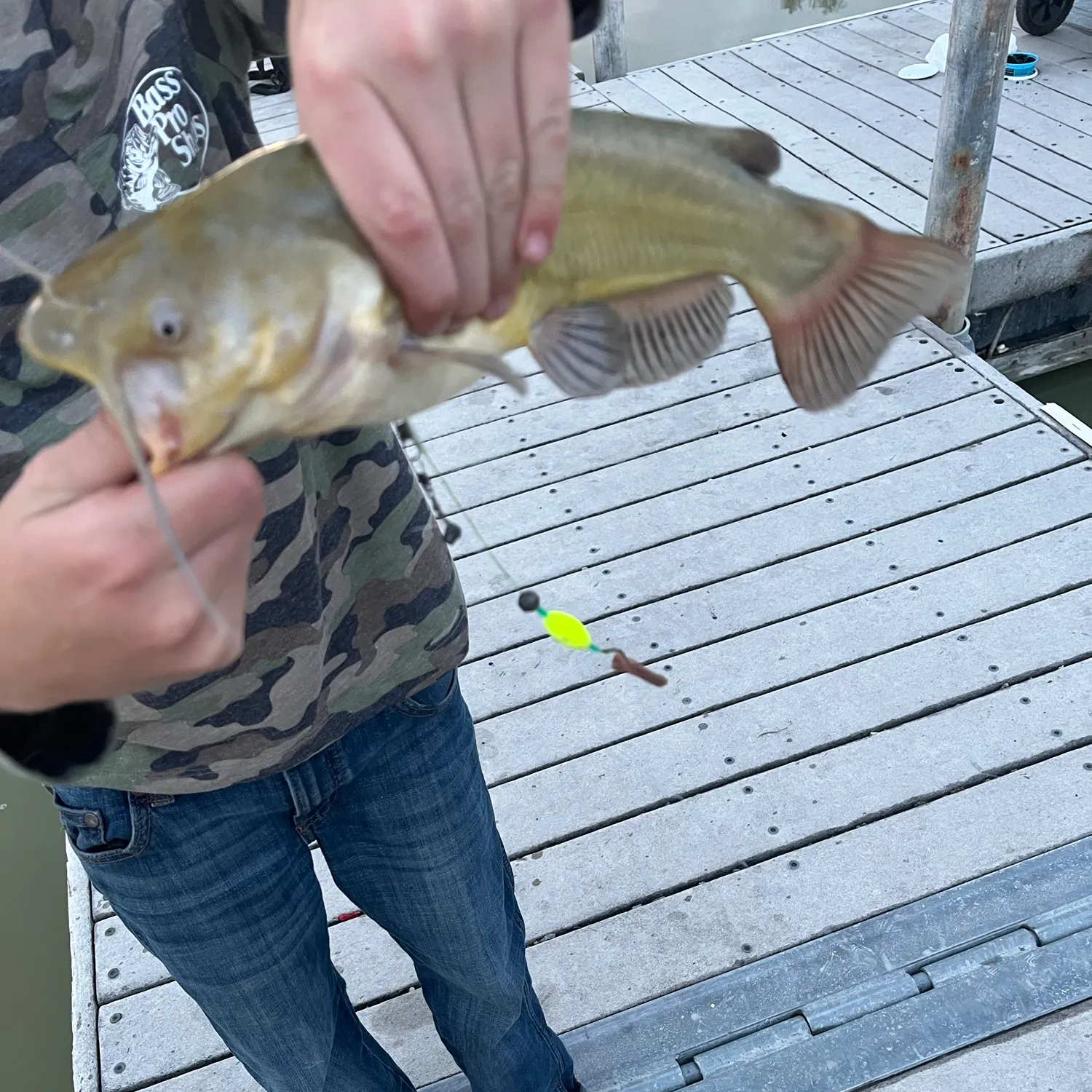 catch