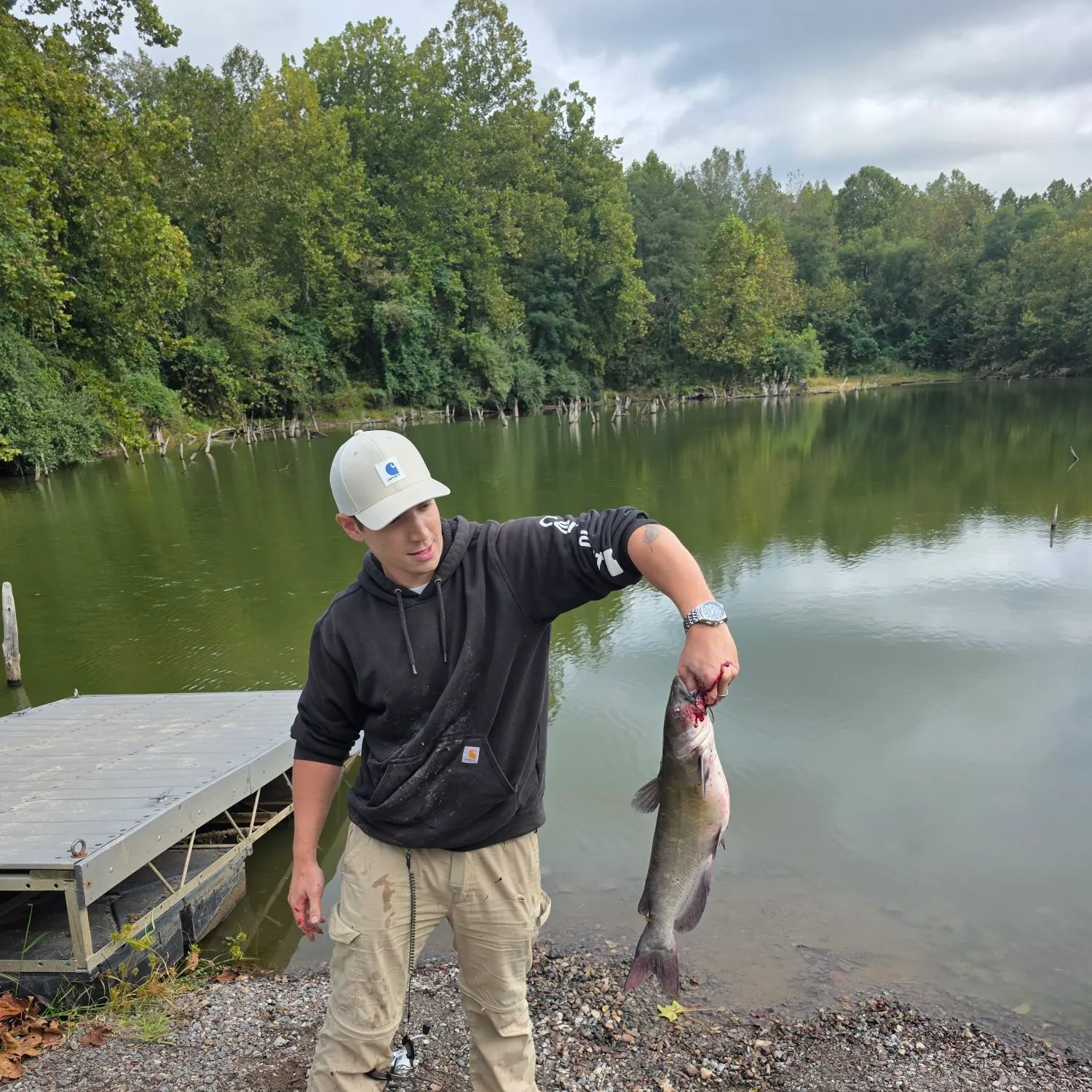Channel catfish caught on Fishbrain
