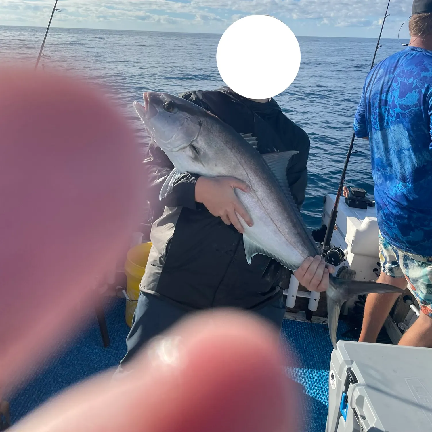 The most recent Greater amberjack catches on Fishbrain