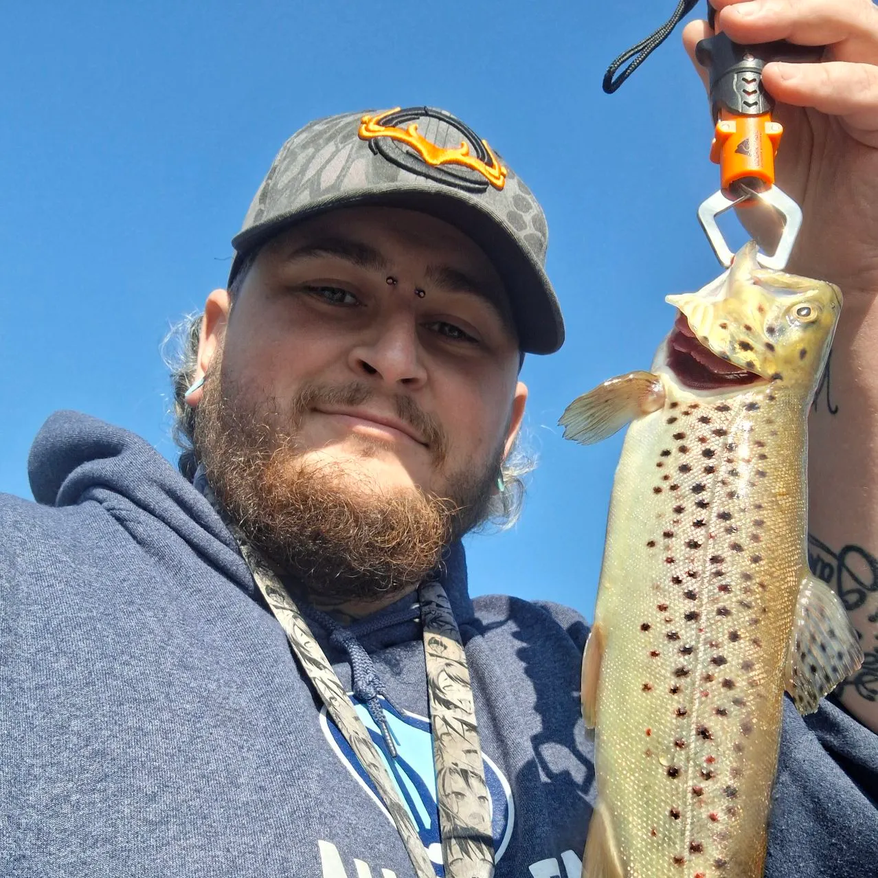 The most recent Brown trout catches on Fishbrain