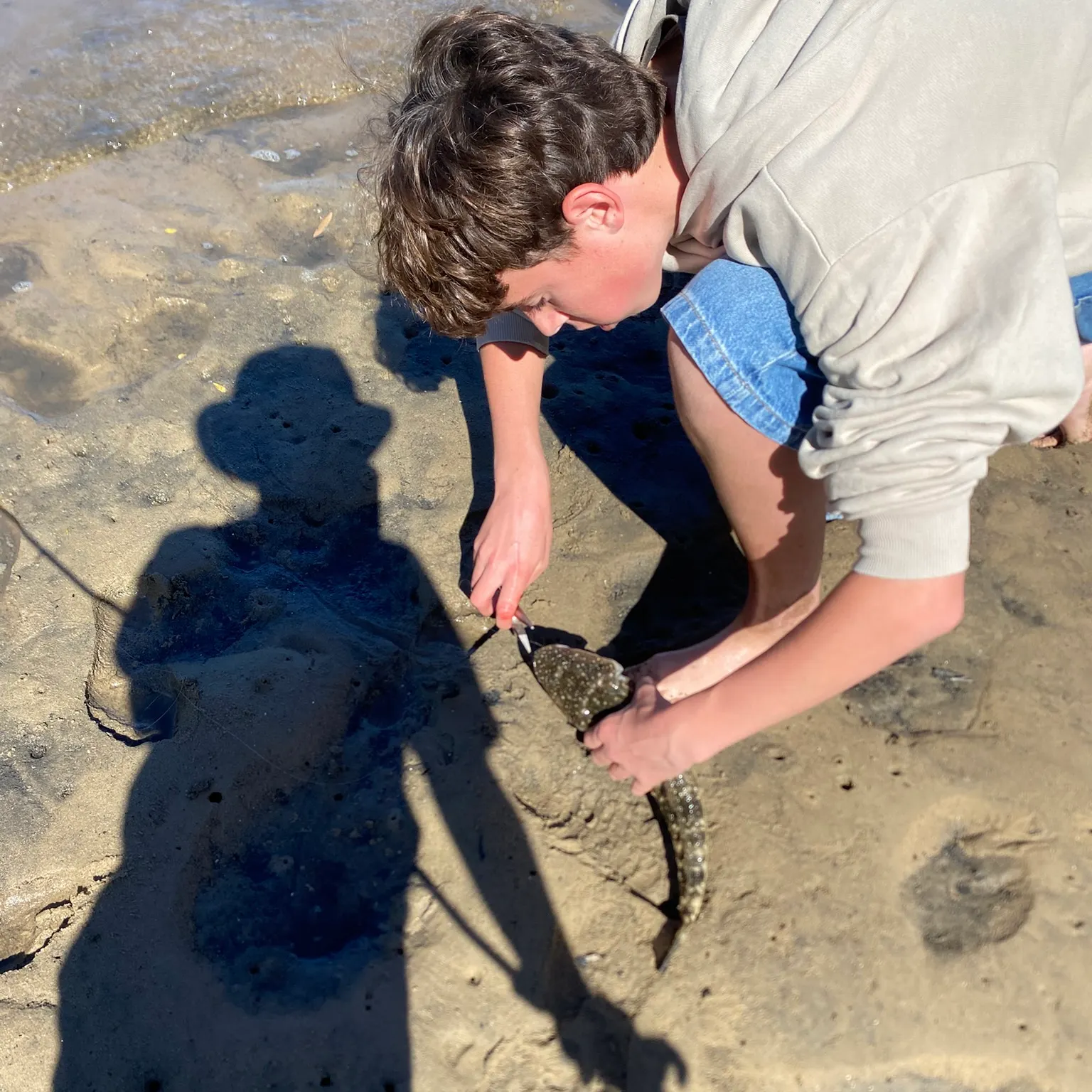The most recent Dusky flathead catches on Fishbrain