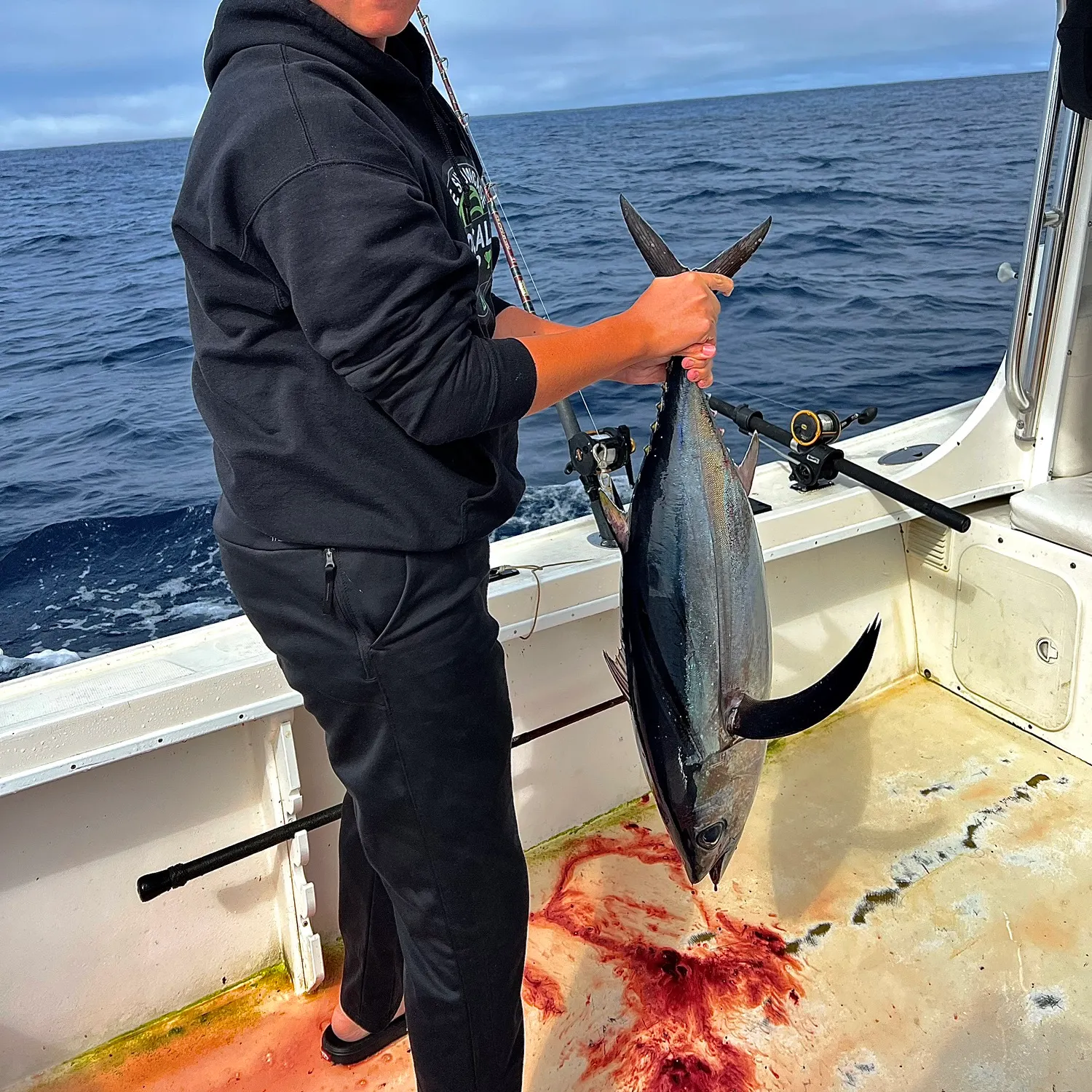 The most recent Albacore catches on Fishbrain