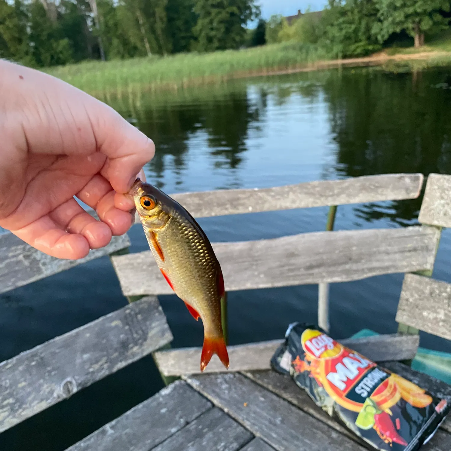 catch