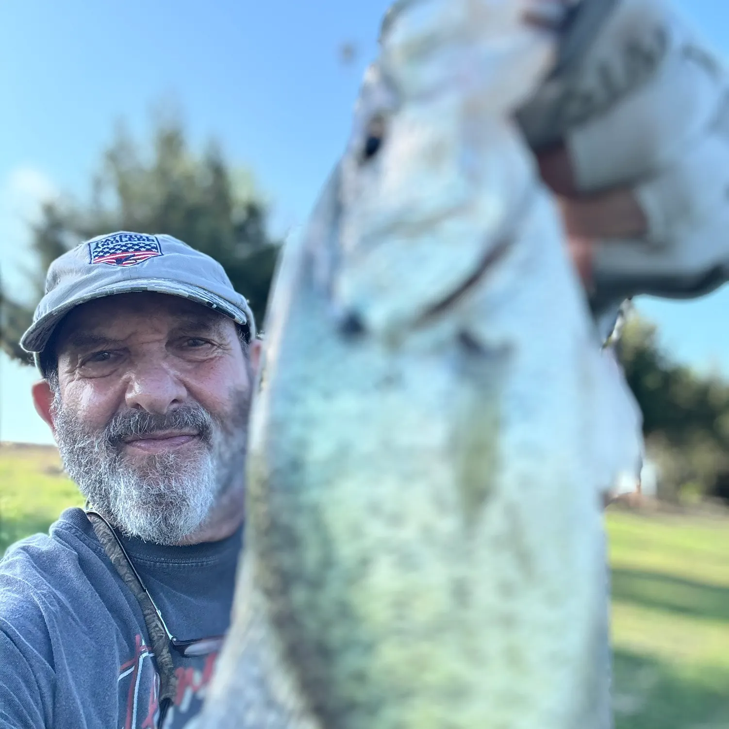 The most recent White crappie catches on Fishbrain