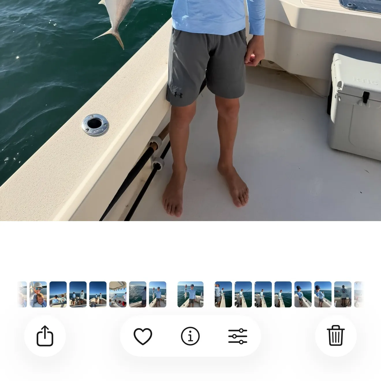 recently logged catches