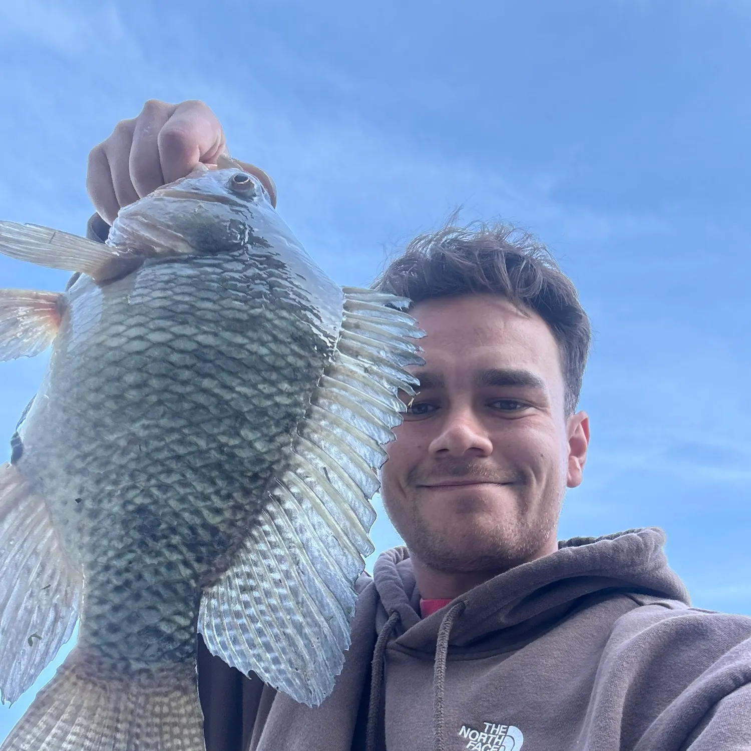 The most recent Nile tilapia catches on Fishbrain