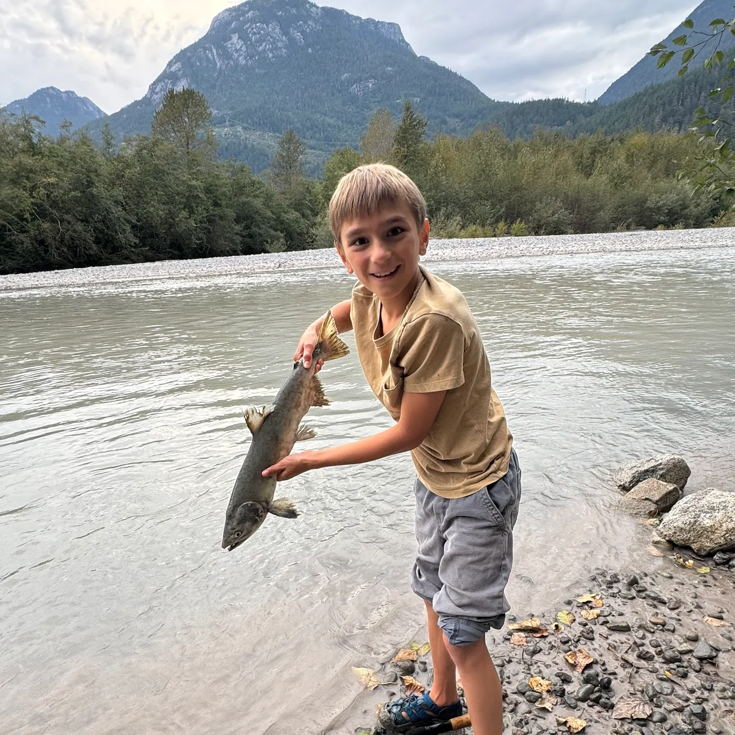 Pink salmon caught on Fishbrain