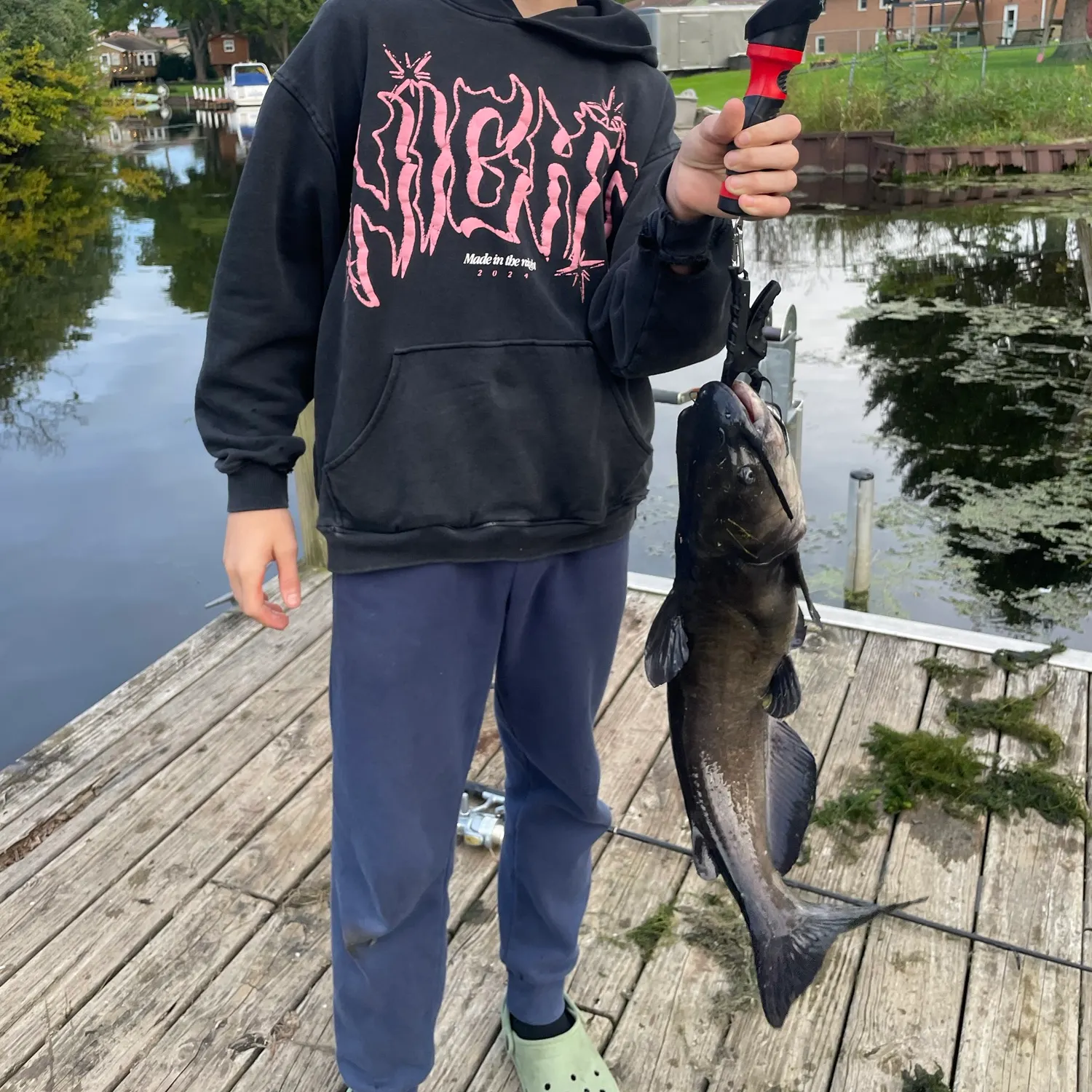 Channel catfish caught on Fishbrain