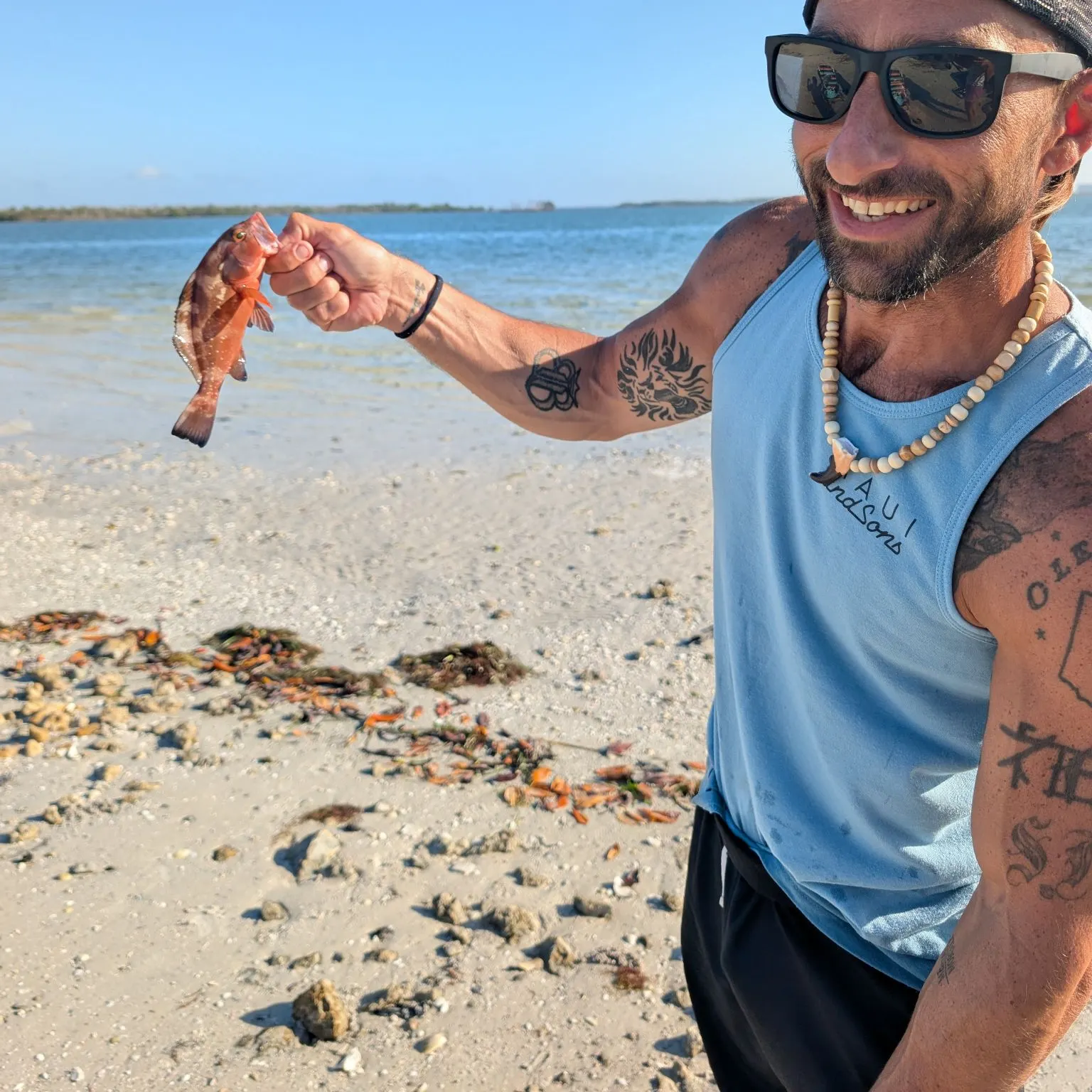 The most recent Red grouper catches on Fishbrain