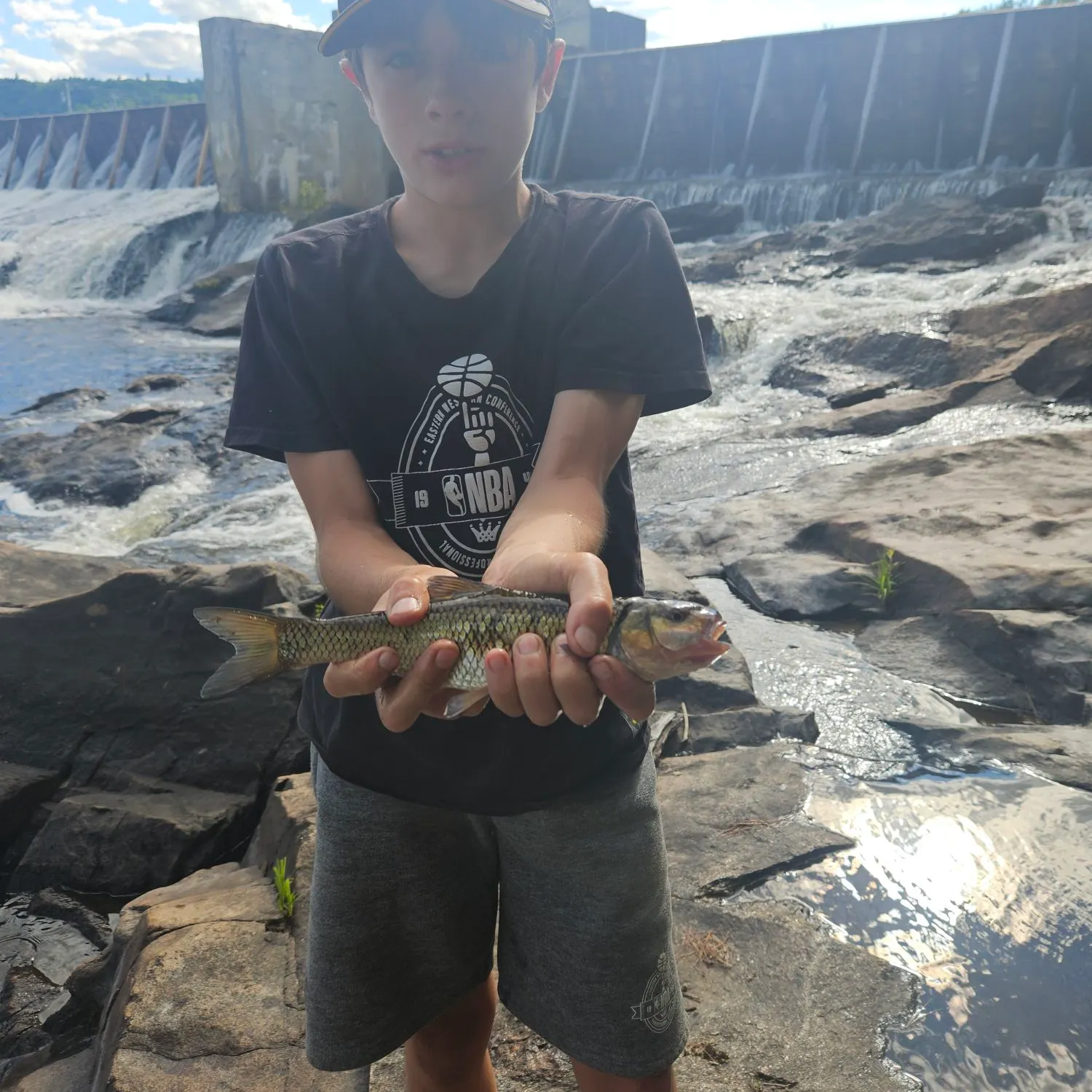 The most recent Fallfish catches on Fishbrain