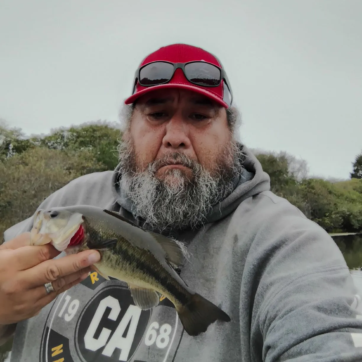 Largemouth bass caught on Fishbrain