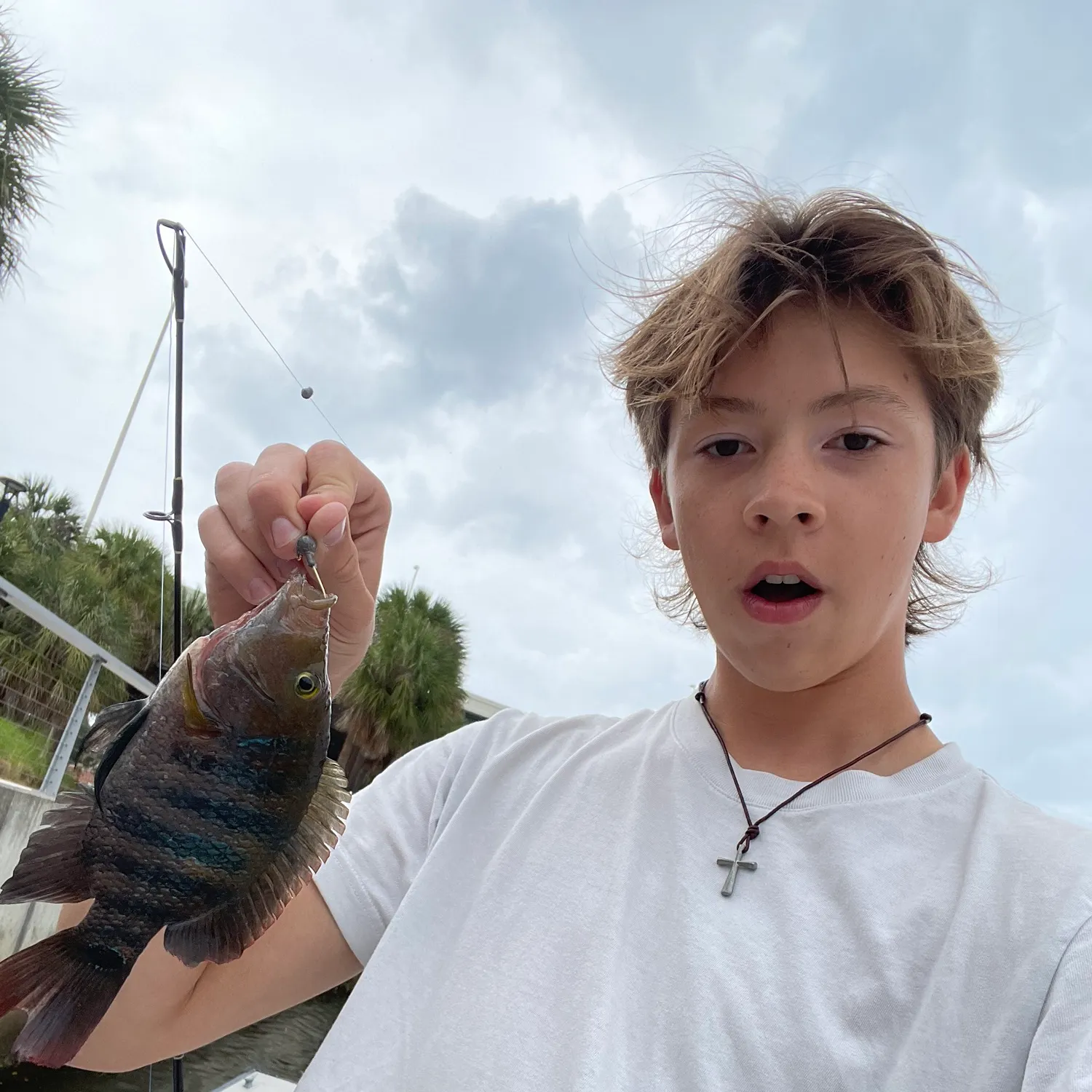 The most recent Sheepshead catches on Fishbrain