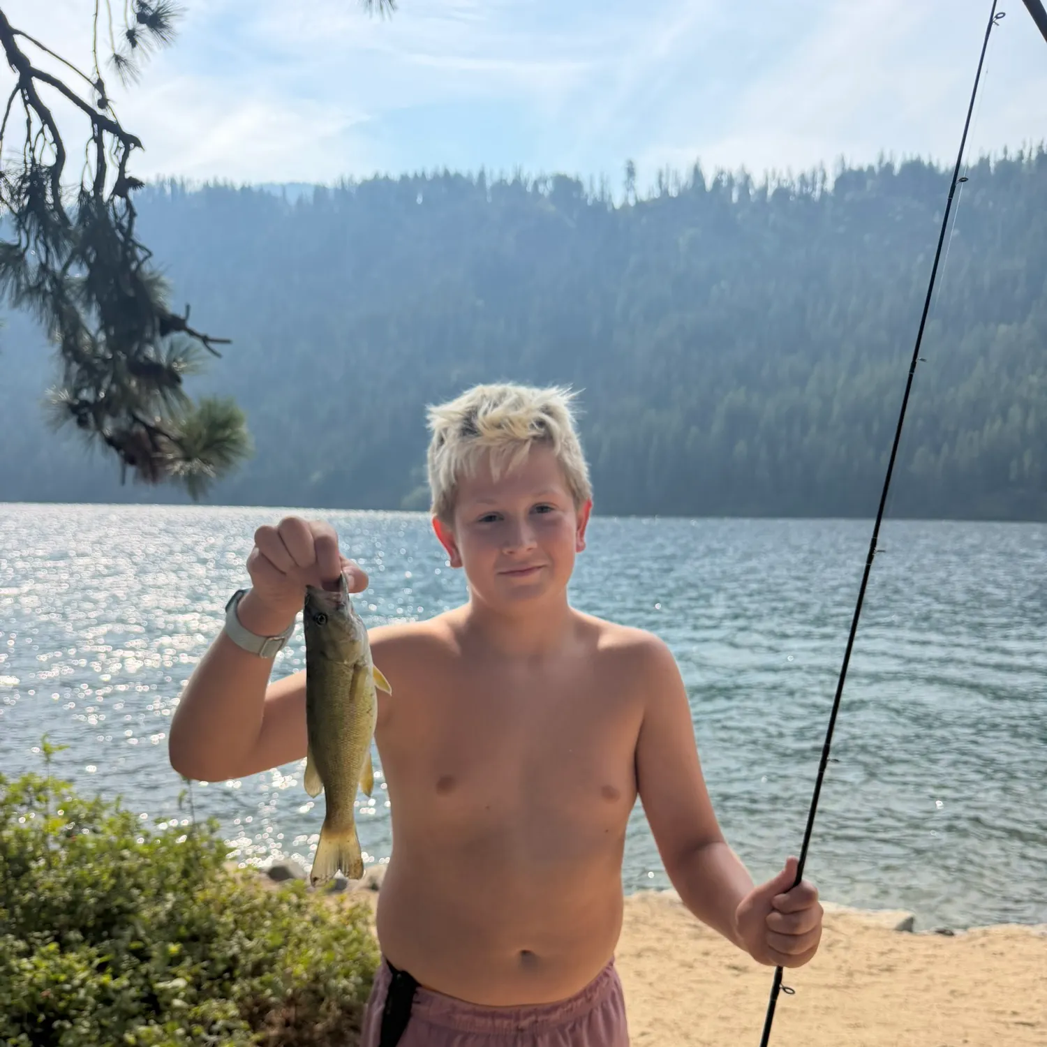 Smallmouth bass caught on Fishbrain