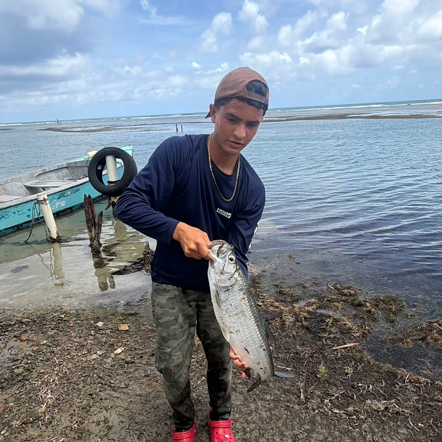 The most recent Tarpon catches on Fishbrain