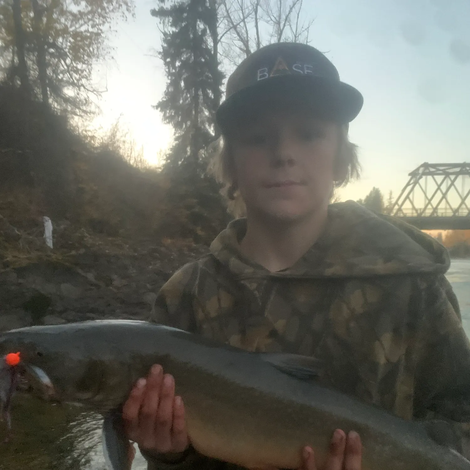 Bull trout caught on Fishbrain
