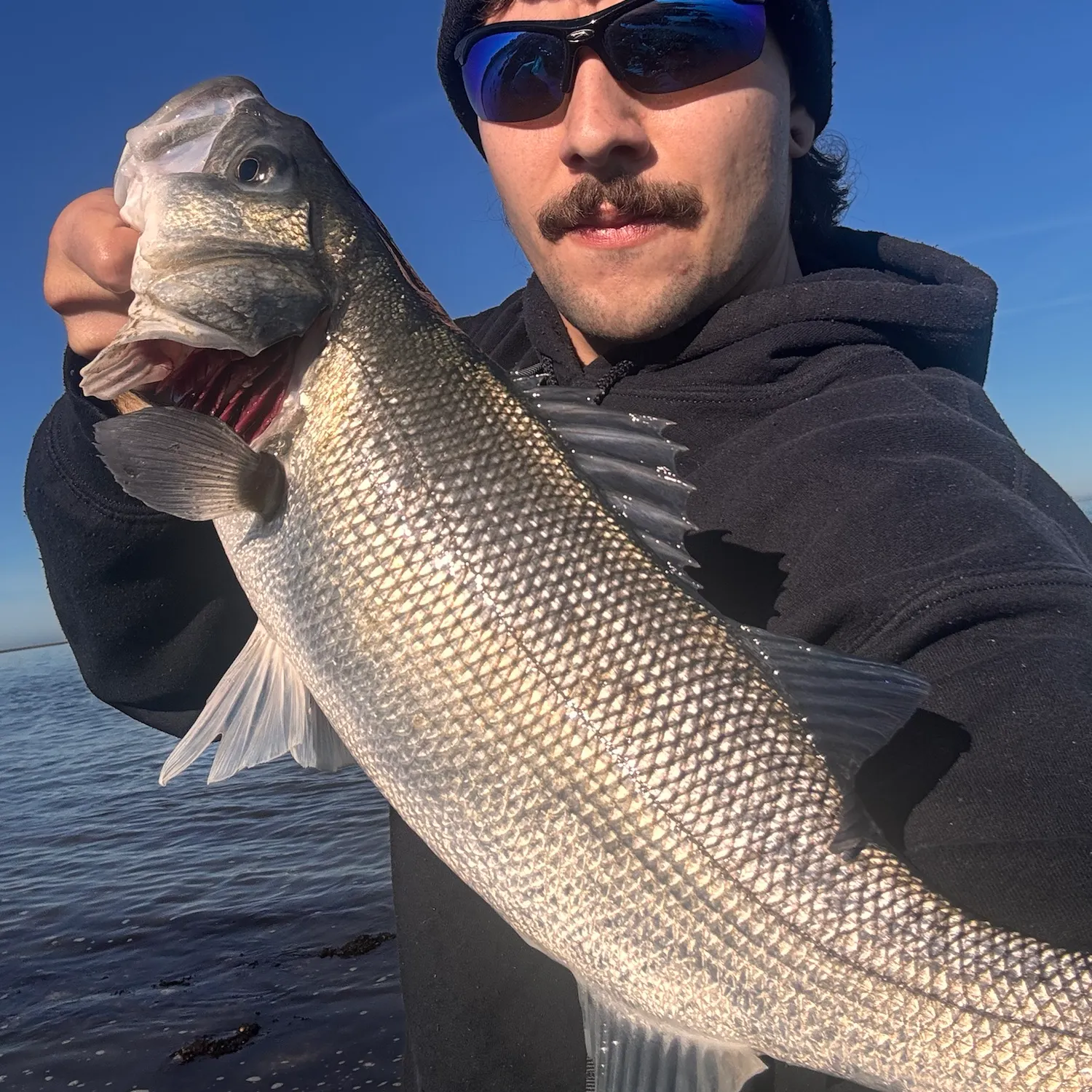 European seabass caught on Fishbrain