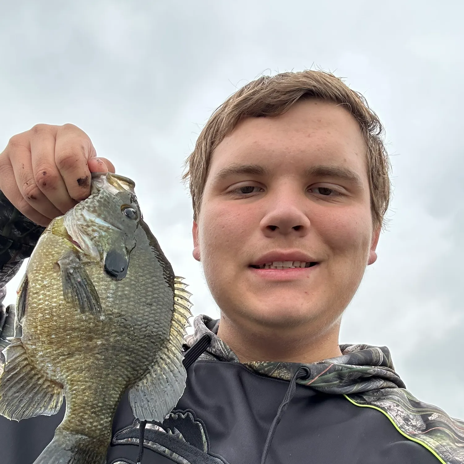 Green sunfish caught on Fishbrain