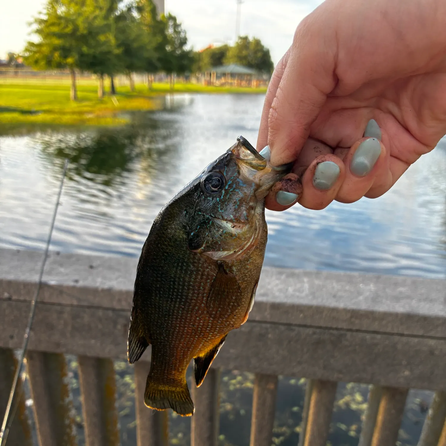 catch