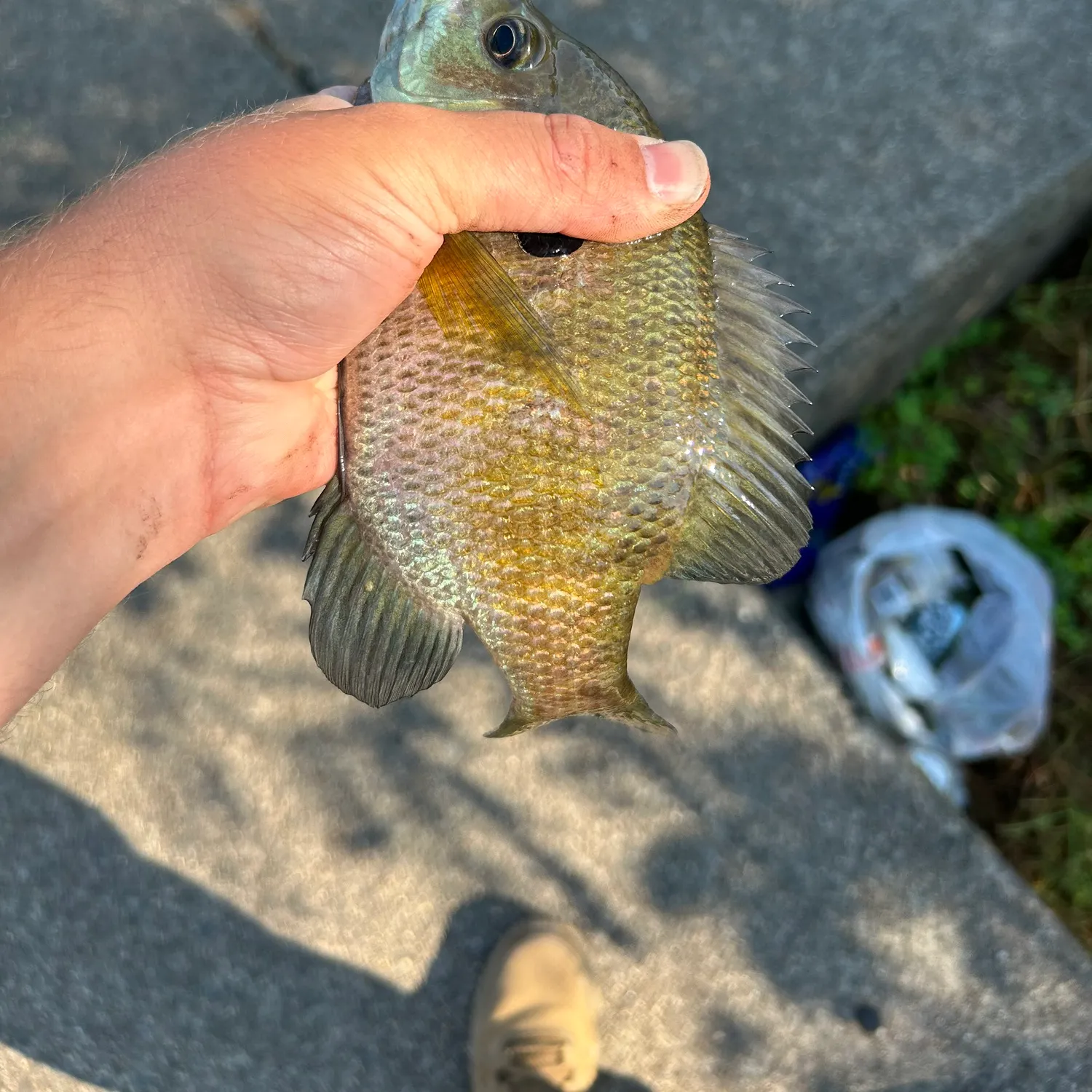 catch