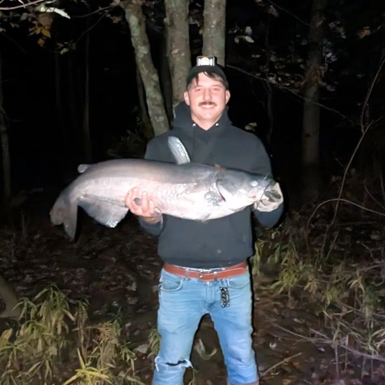 Blue catfish caught on Fishbrain