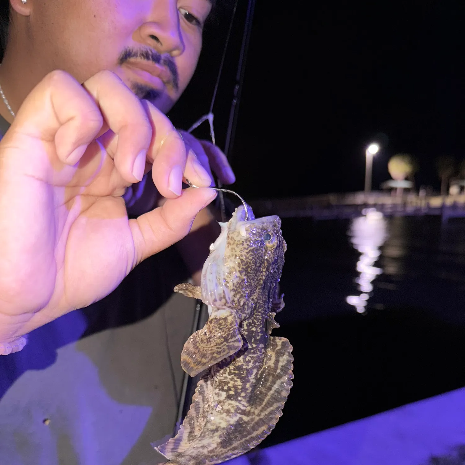 The most recent Gulf toadfish catches on Fishbrain