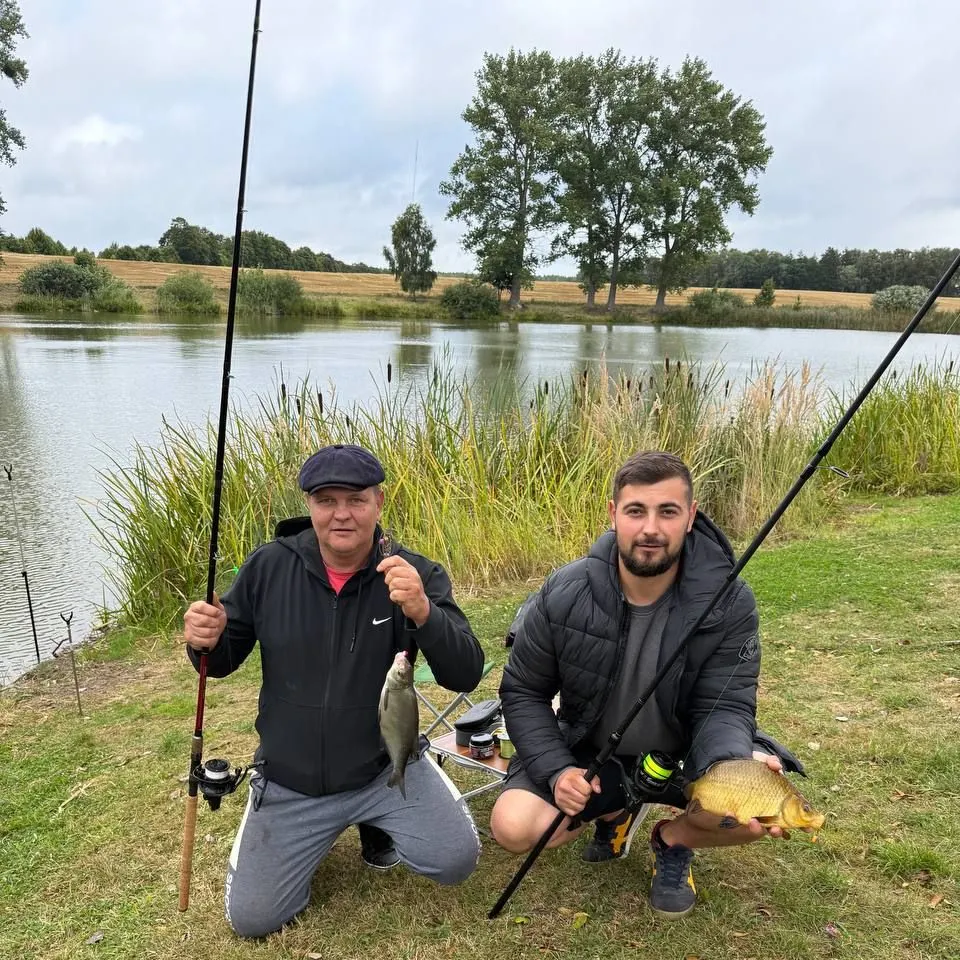Crucian carp caught on Fishbrain