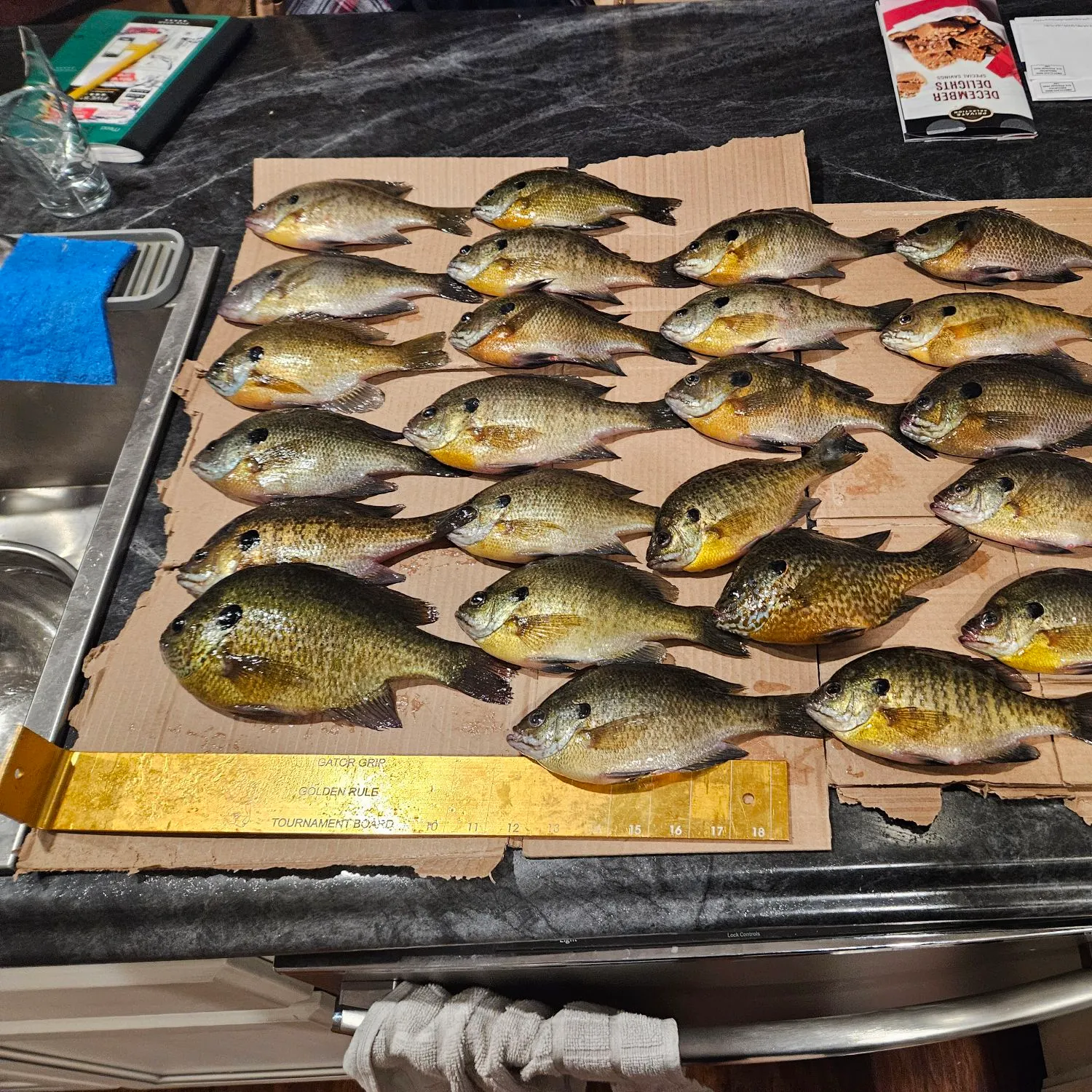 recently logged catches