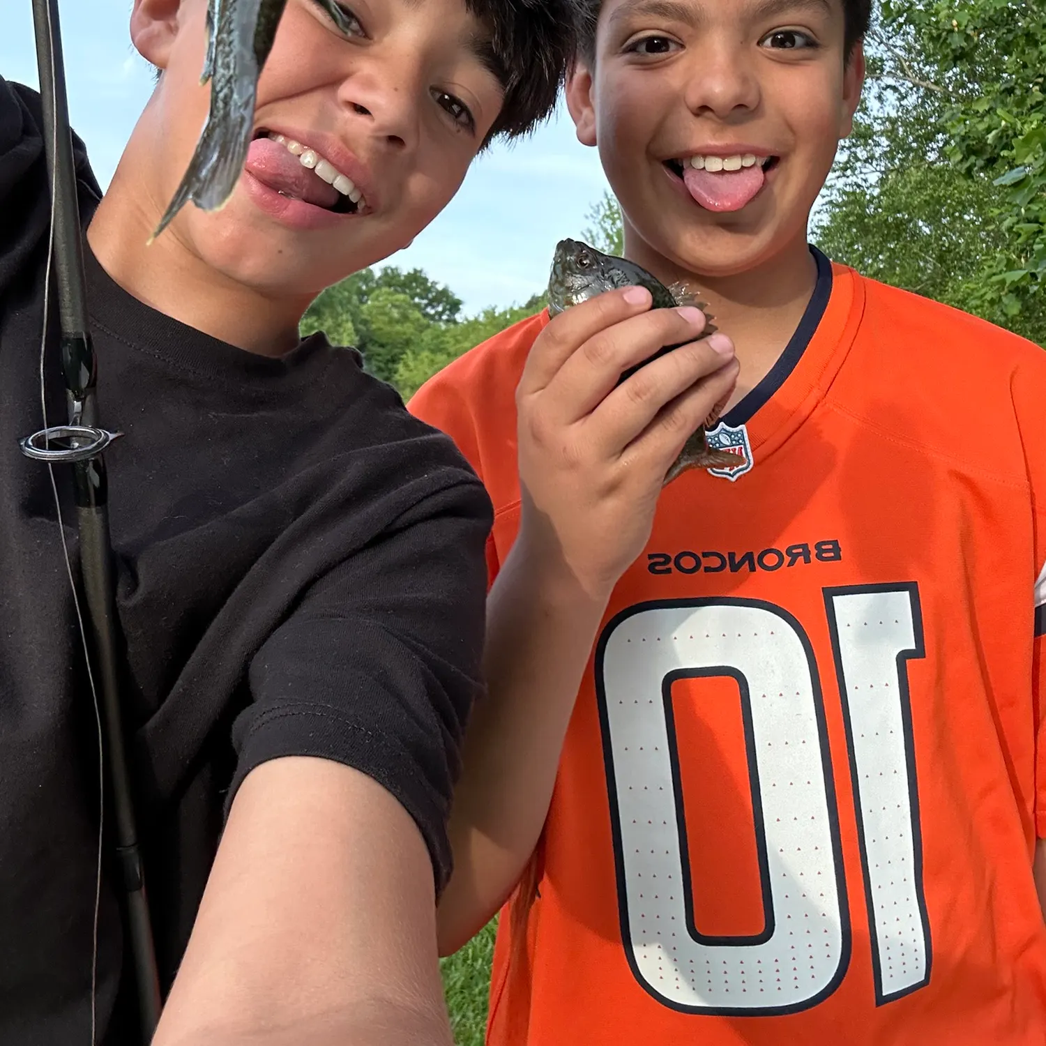 recently logged catches