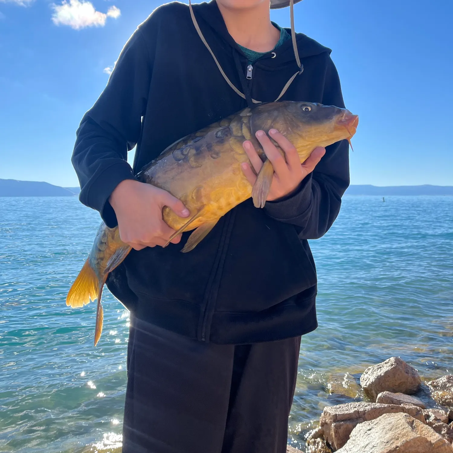 The most recent Mirror carp catches on Fishbrain