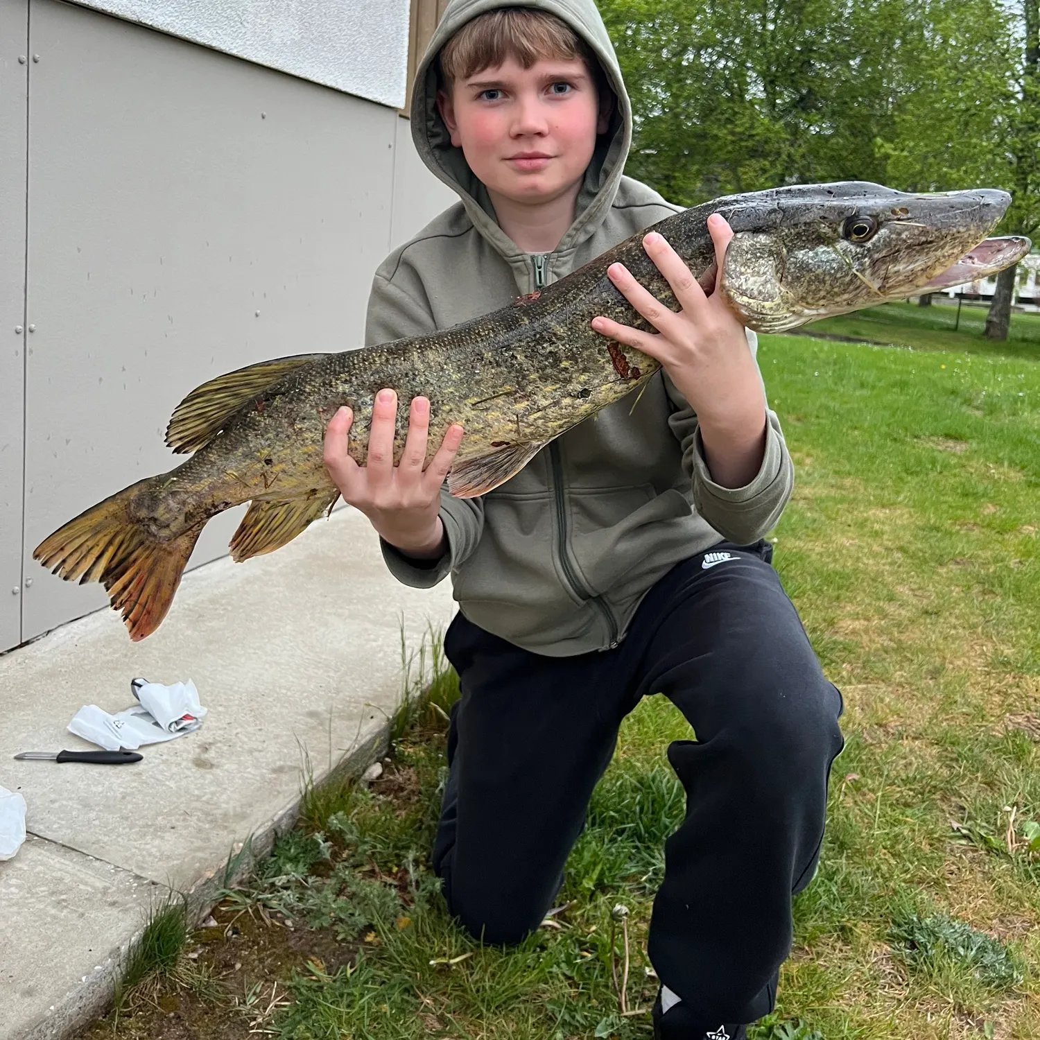 Northern pike caught on Fishbrain