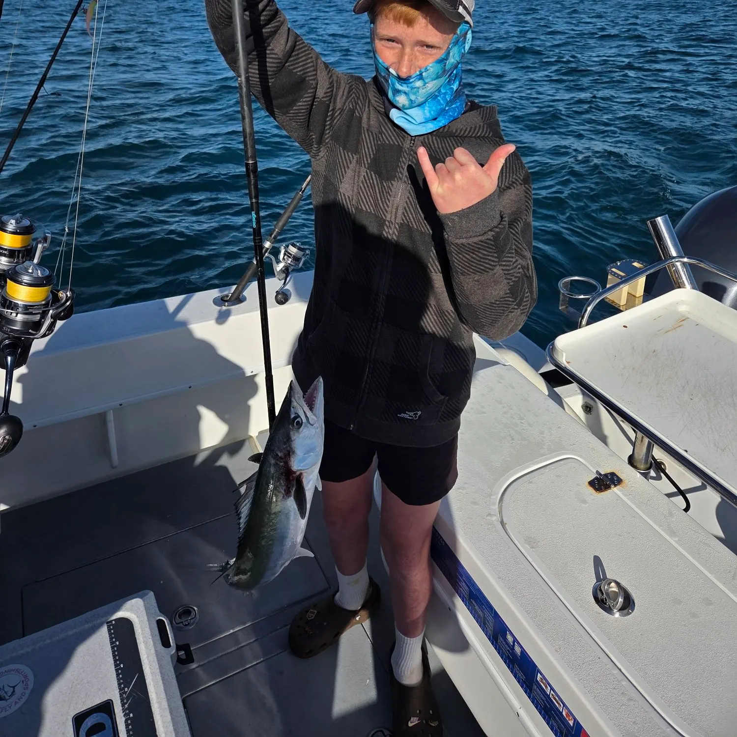 The most recent Queensland school mackerel catches on Fishbrain