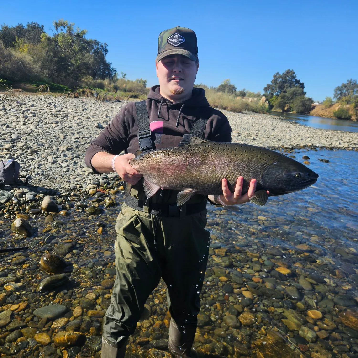 Chinook salmon caught on Fishbrain