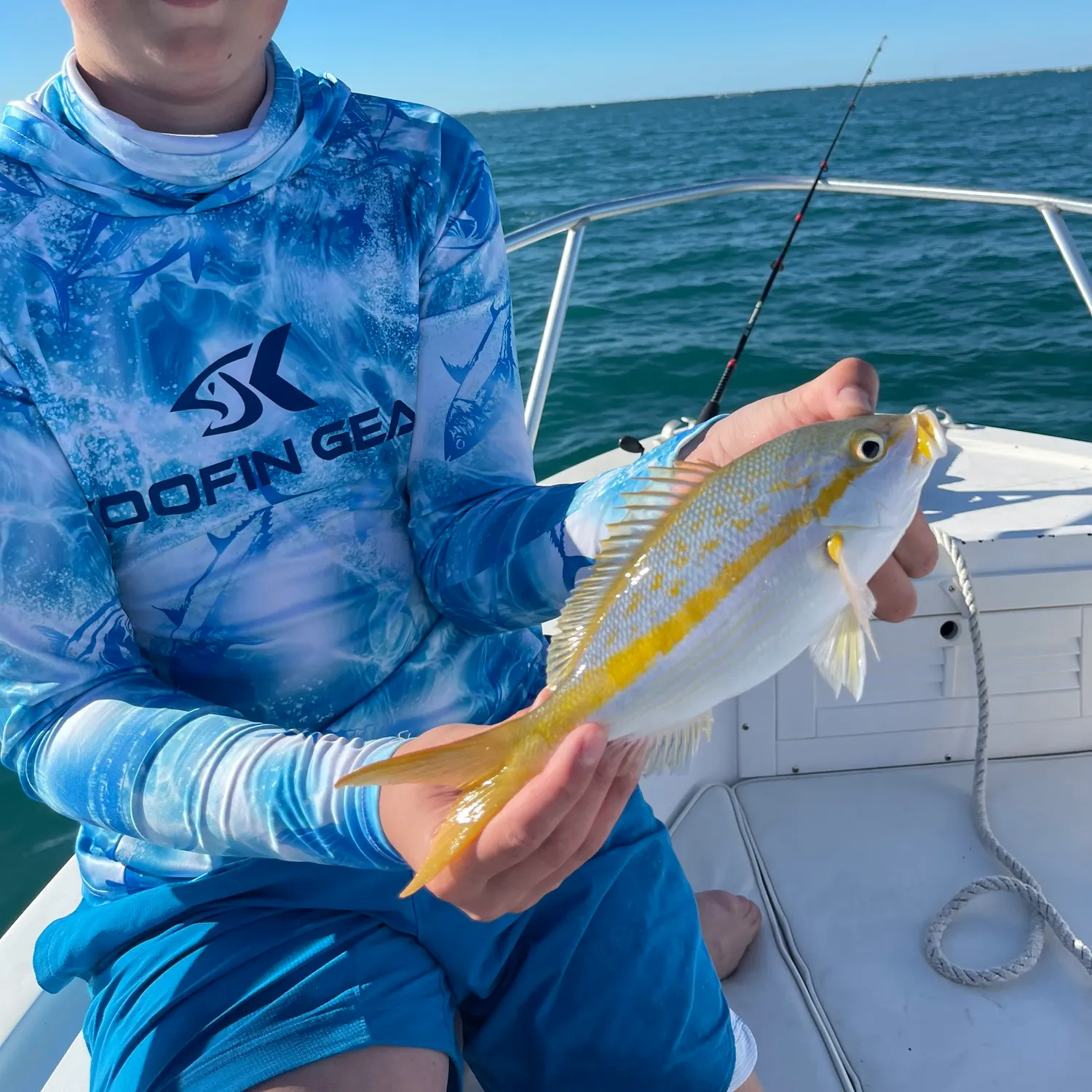 The most recent Yellowtail snapper catches on Fishbrain