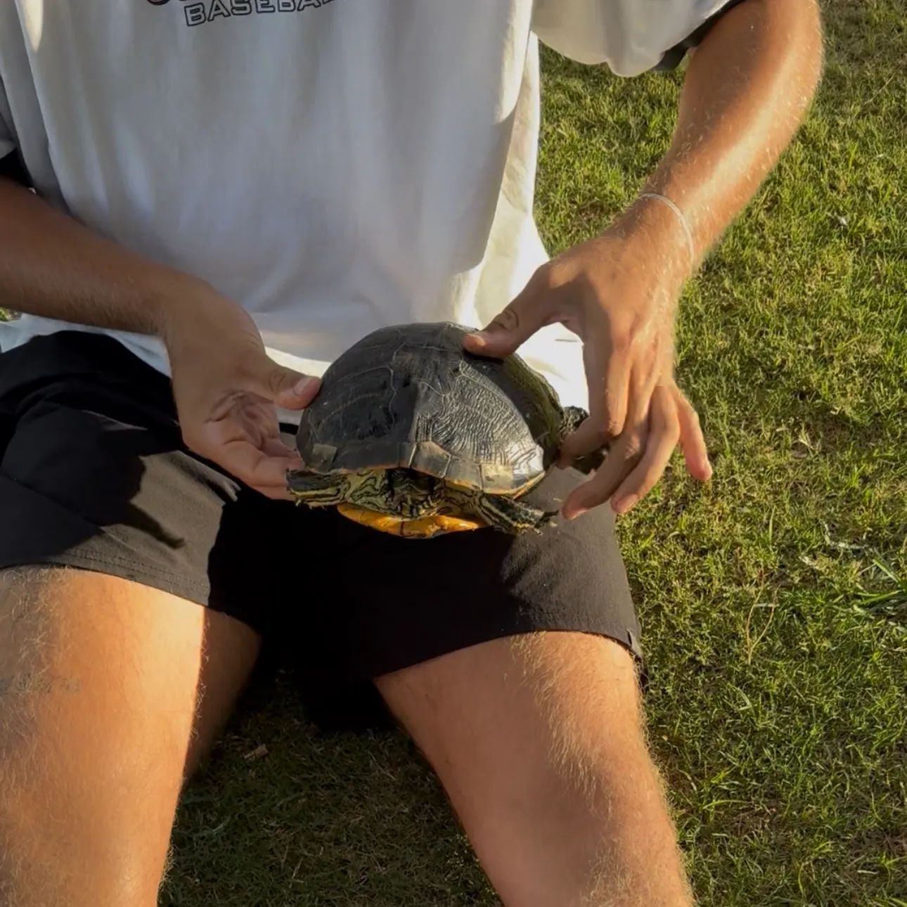 Pond slider turtle caught on Fishbrain