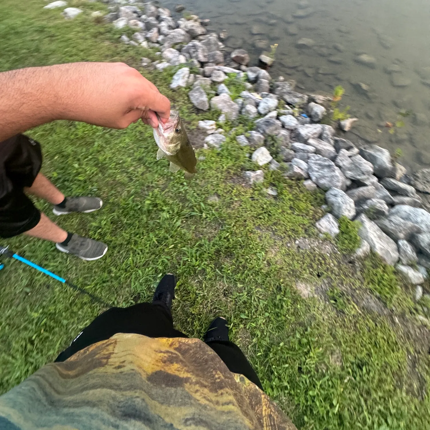 catch