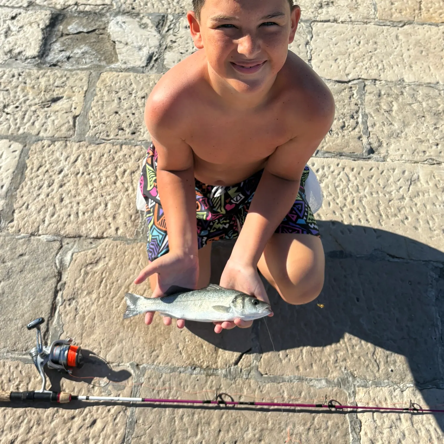 European seabass caught on Fishbrain