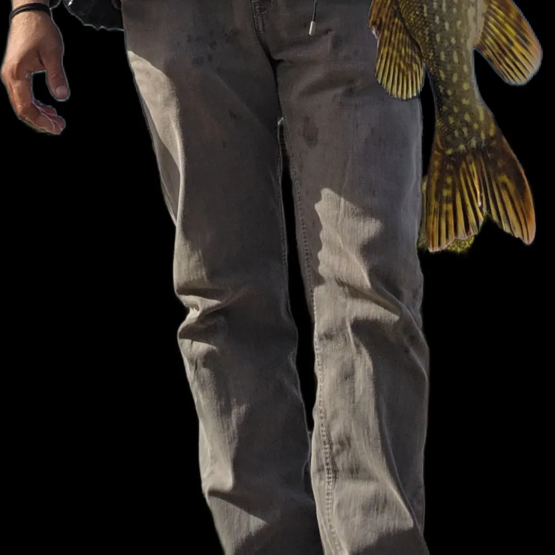 Northern pike caught on Fishbrain