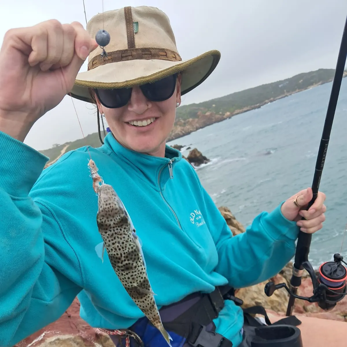 The most recent Common toadfish catches on Fishbrain