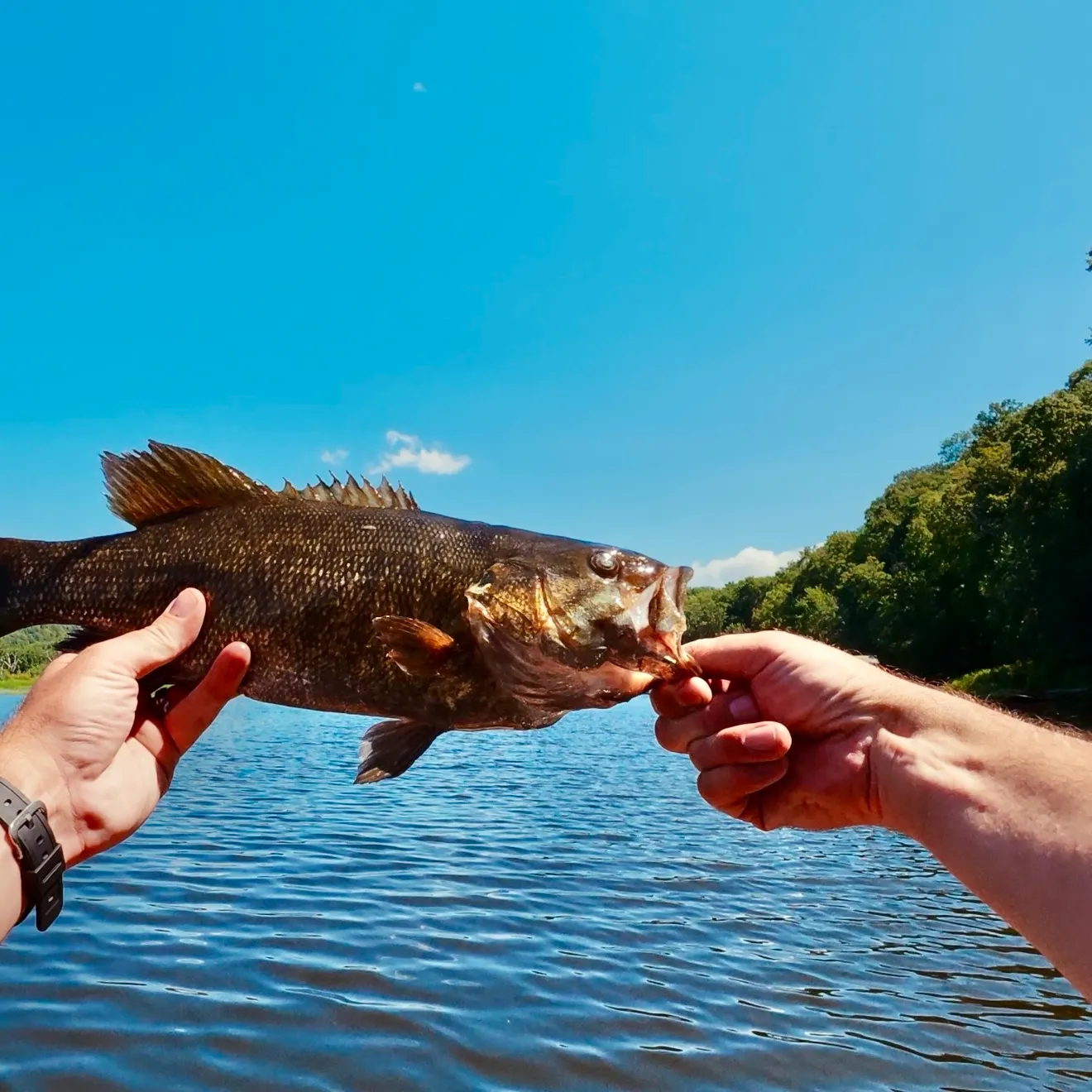 catch