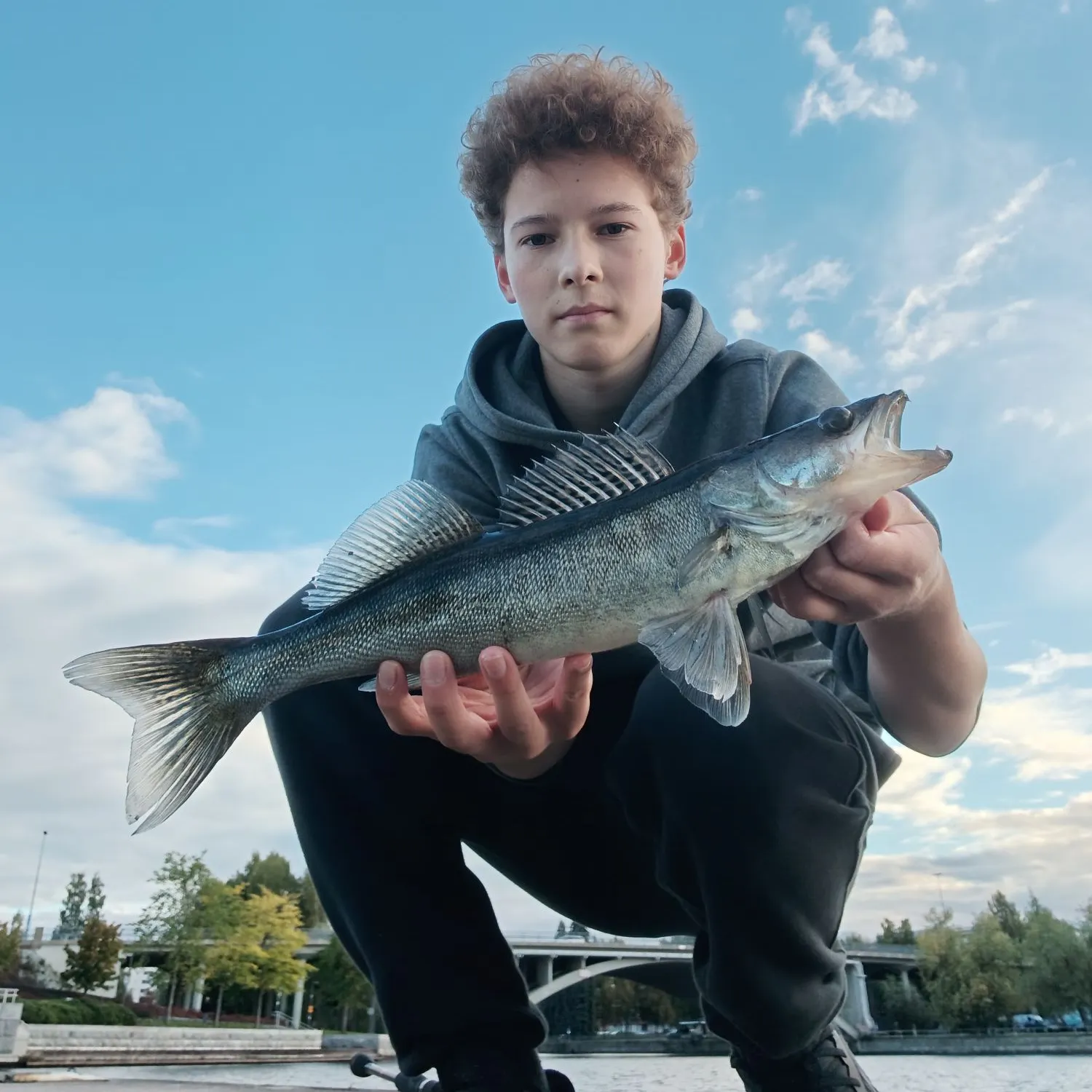 Zander caught on Fishbrain