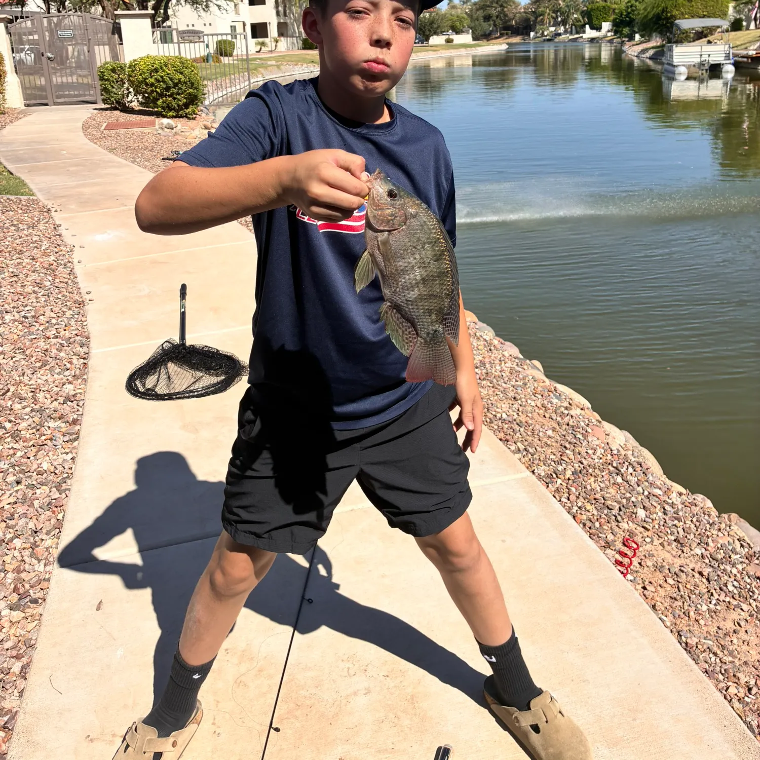 Blue tilapia caught on Fishbrain