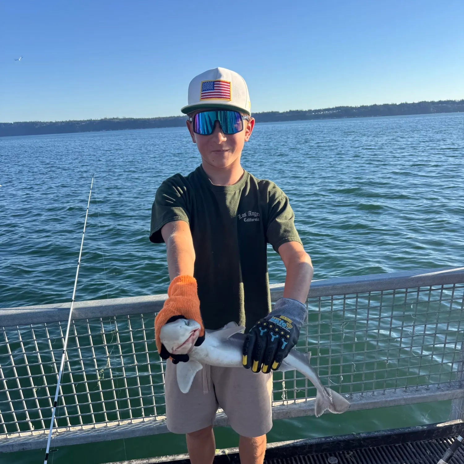 The most recent Piked dogfish catches on Fishbrain