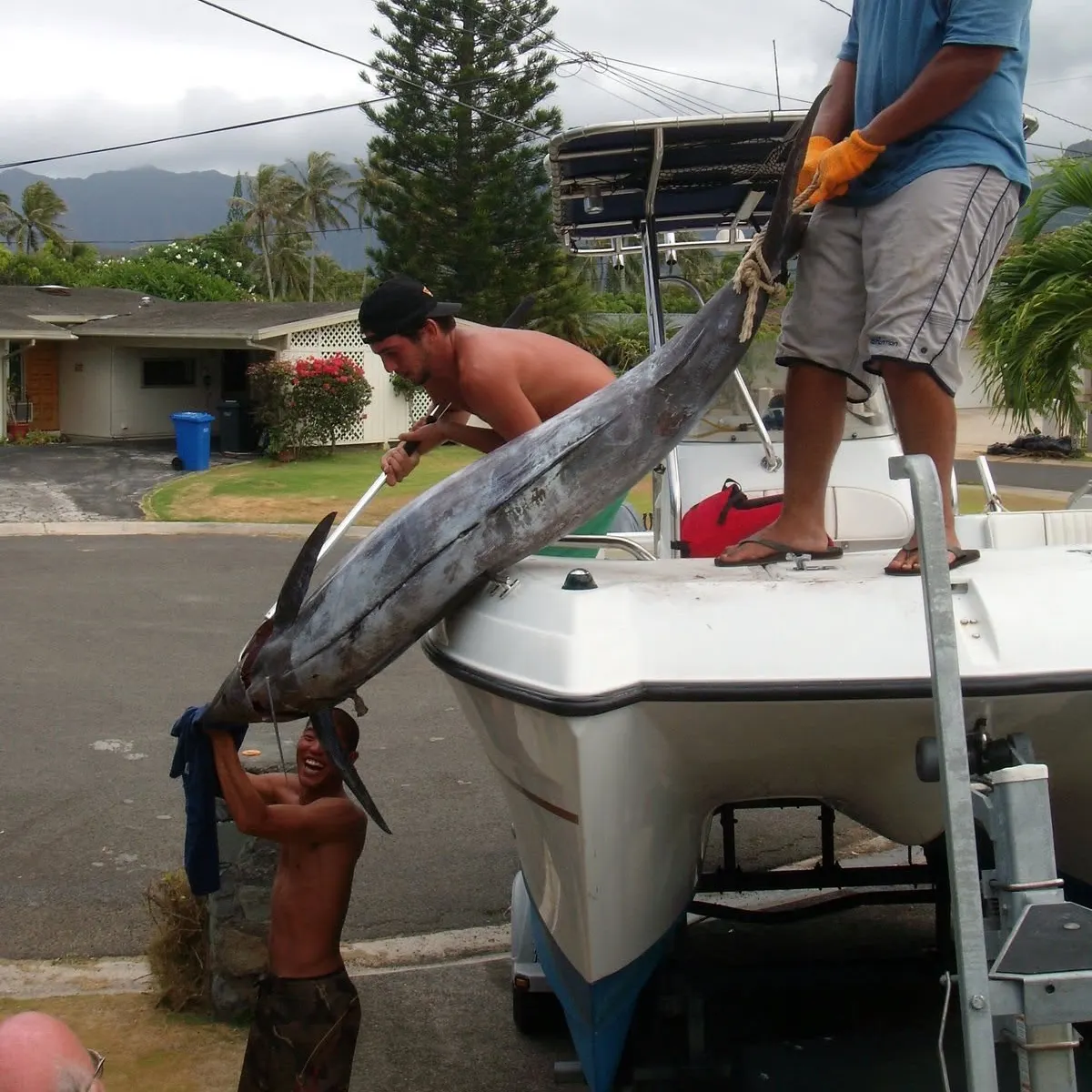 The most recent Indo-Pacific blue marlin catches on Fishbrain