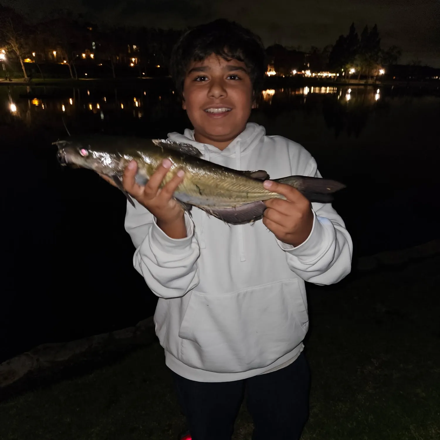 Channel catfish caught on Fishbrain