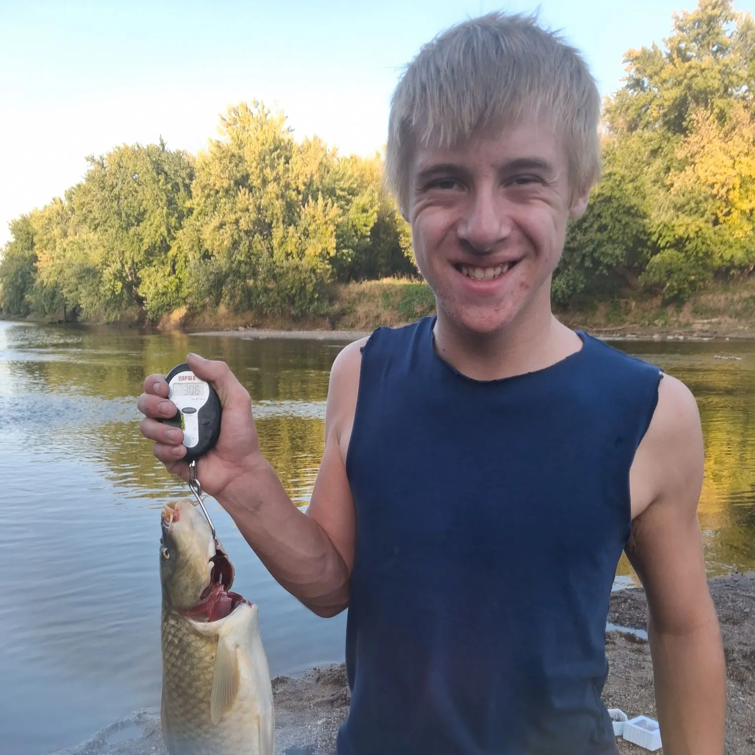 Common carp caught on Fishbrain